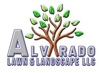 Alvarado Lawn & Landscape LLC Logo